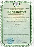 Свидетельство о внесении в единый реестр туроператоров